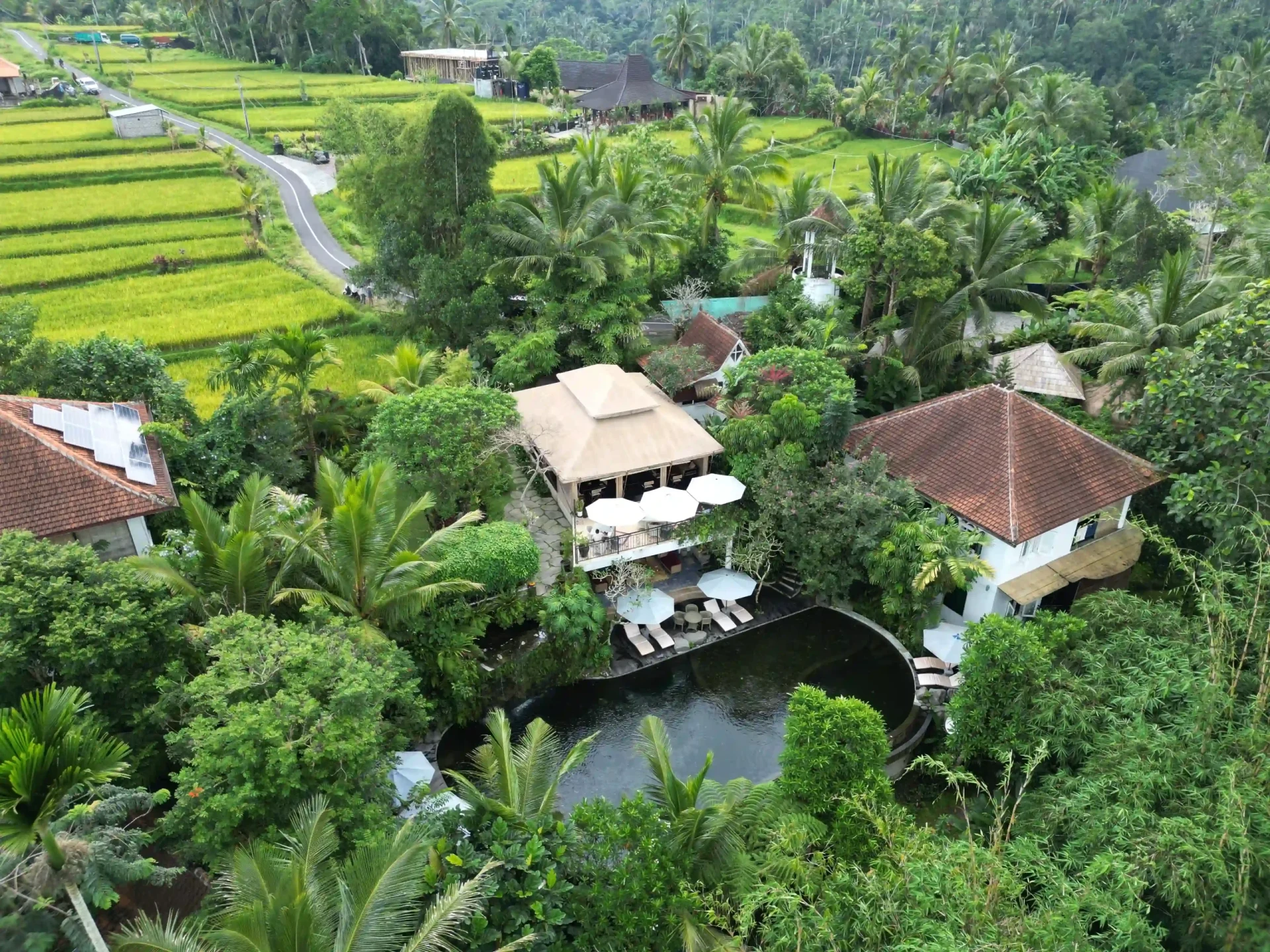 sebatu-eco-project-scenery sebatu-eco-project-scenery